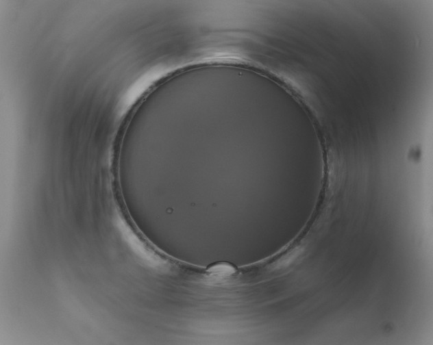 X0000111811422200907301222