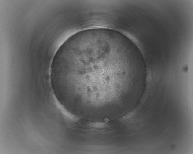 X0000111811423200907301222