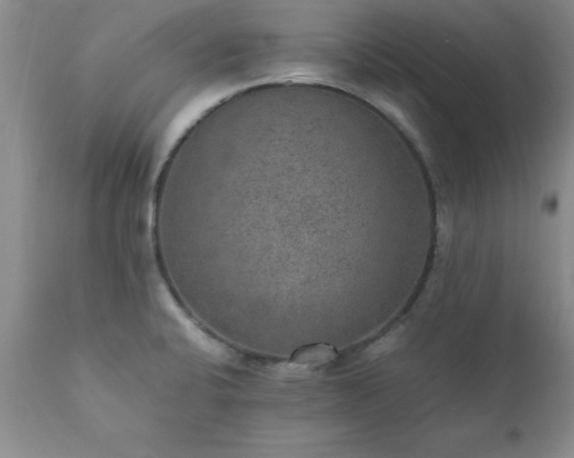 X0000111811424200907301222