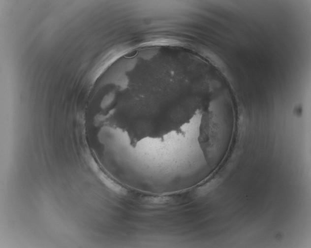 X0000111811425200907301222