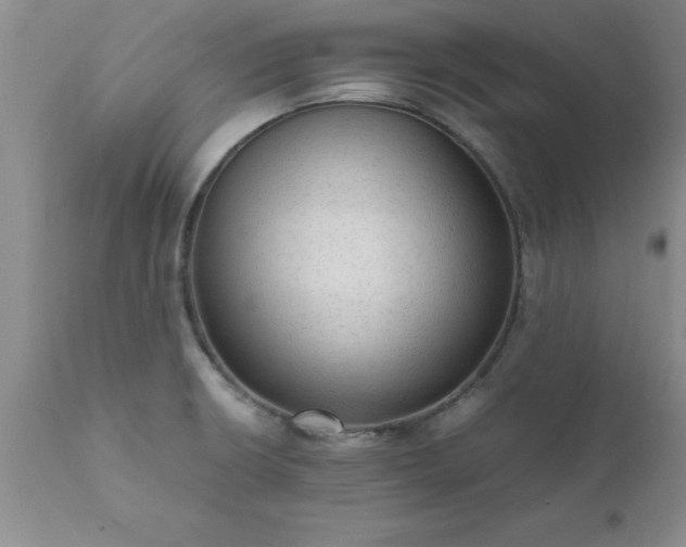X0000111811426200907301222