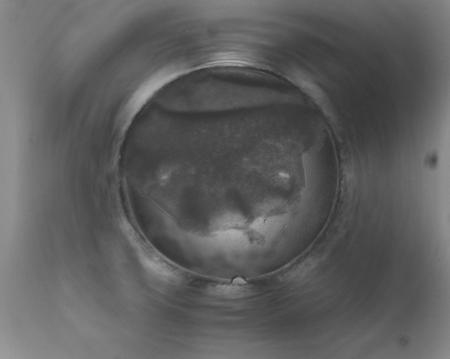 X0000111811427200907301222