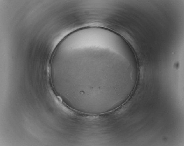X0000111811428200907301222