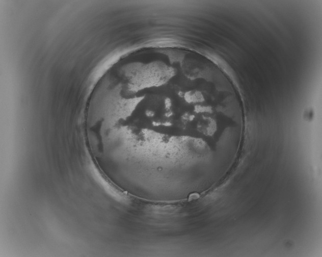 X0000111811429200907301222