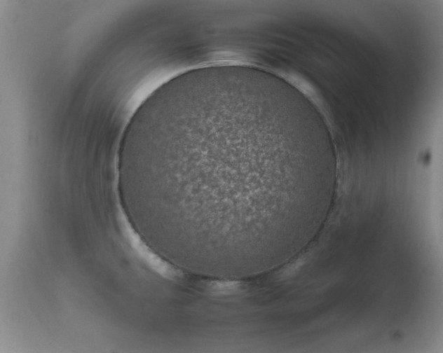 X0000111811431200907301222