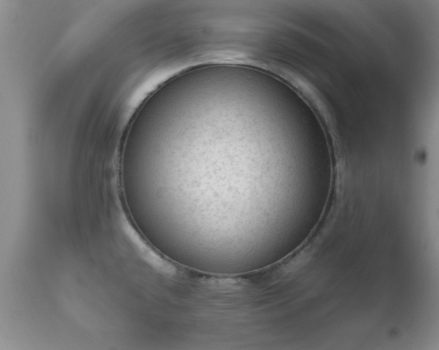 X0000111811432200907301222