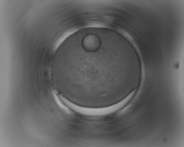 X0000111811433200907301222