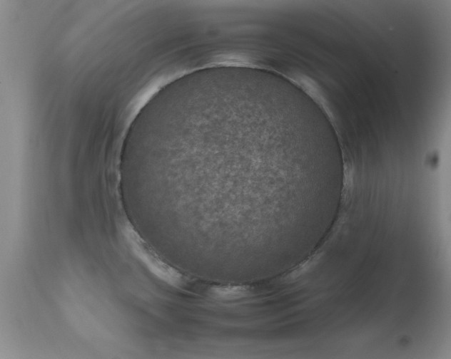 X0000111811435200907301222