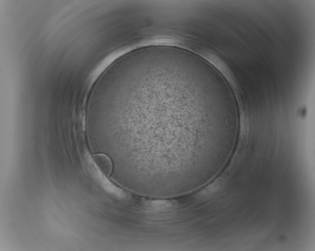 X0000111811436200907301223