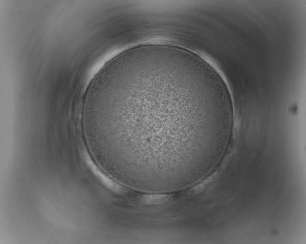 X0000111811437200907301223