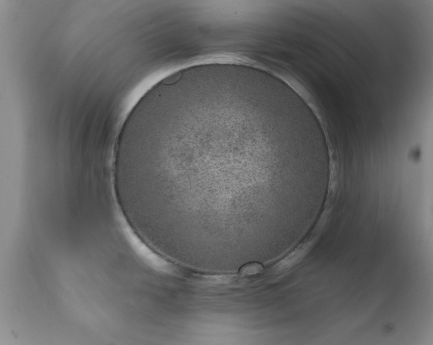 X0000111811438200907301223