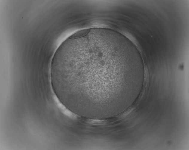 X0000111811439200907301223