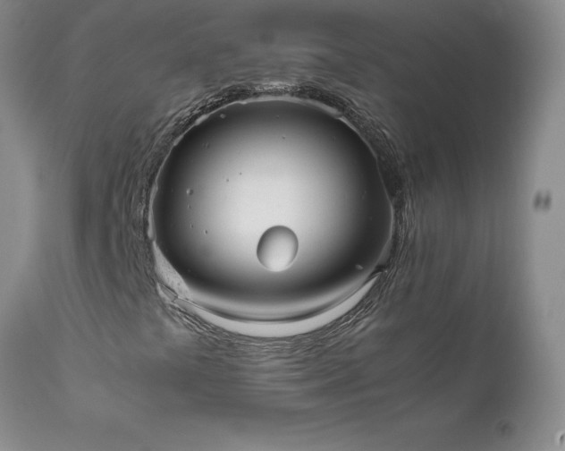 X0000111811441200907301222