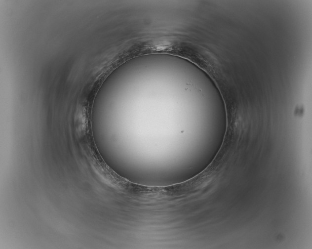 X0000111811442200907301222