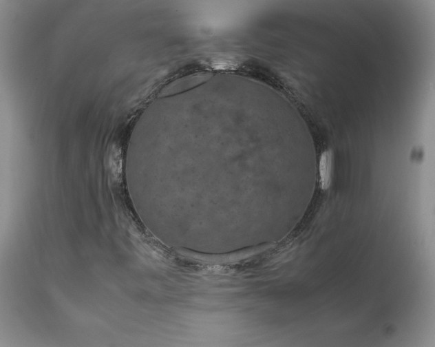 X0000111811443200907301222