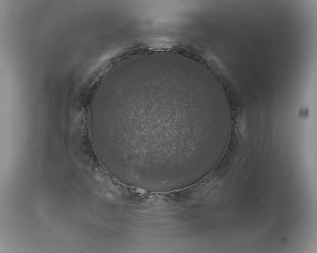 X0000111811445200907301222
