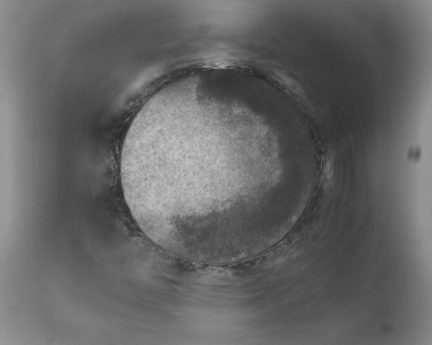 X0000111811446200907301222