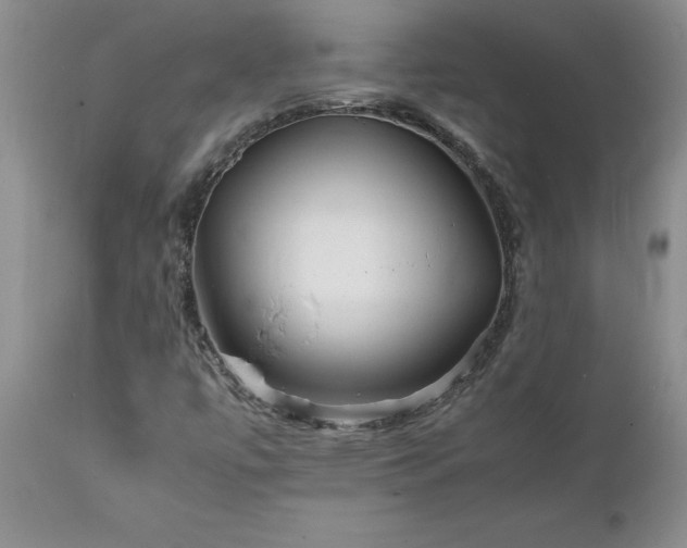 X0000111811447200907301222