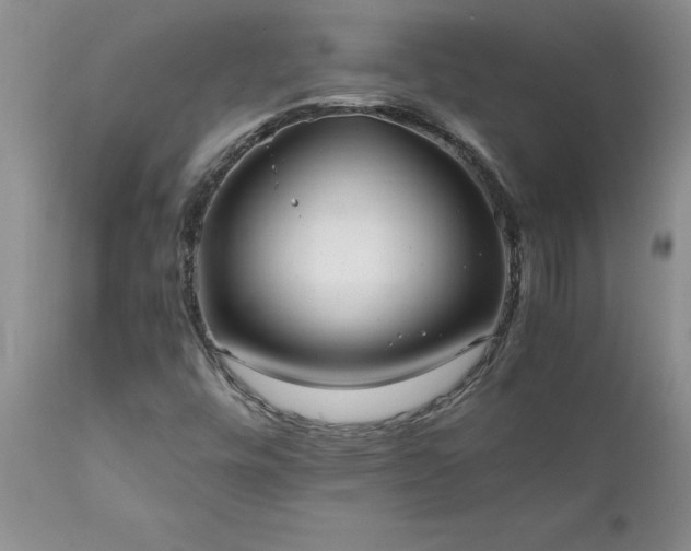 X0000111811448200907301222