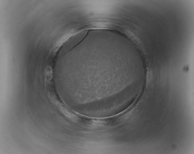 X0000111811449200907301222