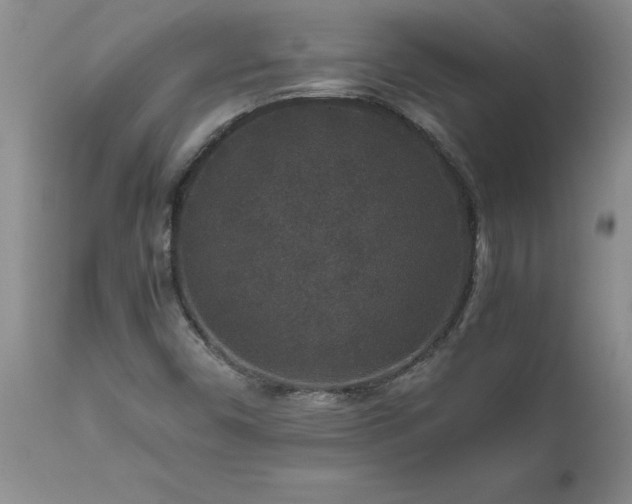 X0000111811450200907301221