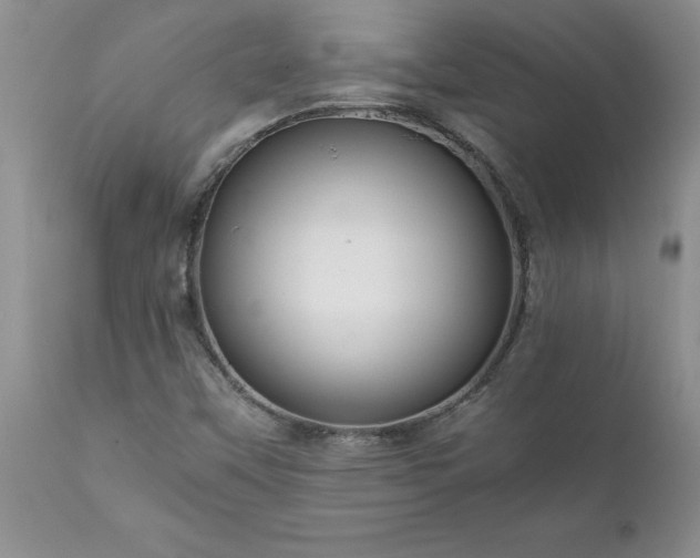 X0000111811451200907301221