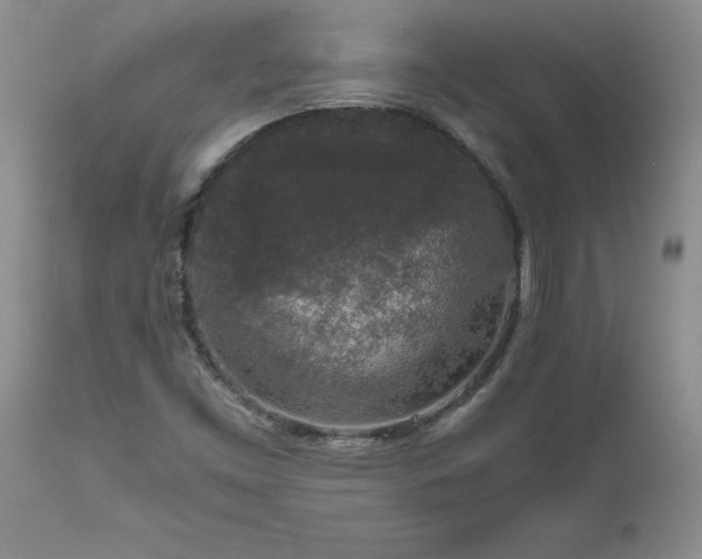 X0000111811453200907301221