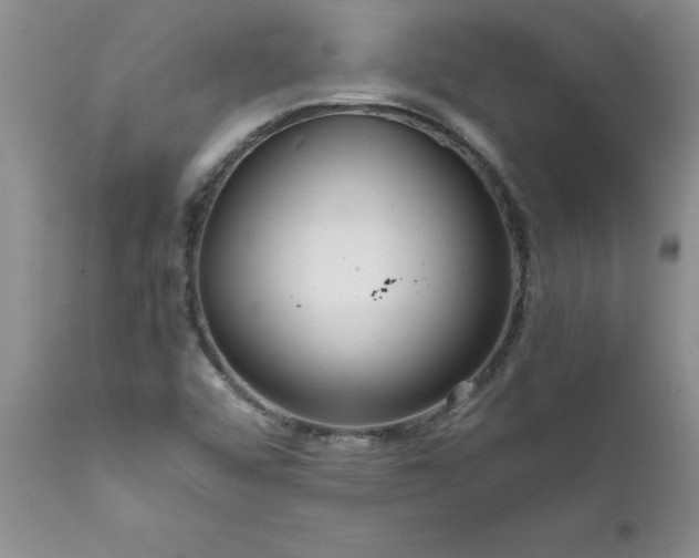 X0000111811456200907301221
