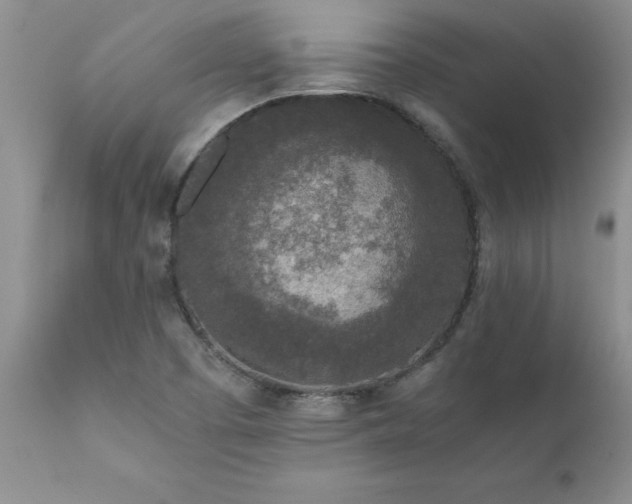 X0000111811457200907301221