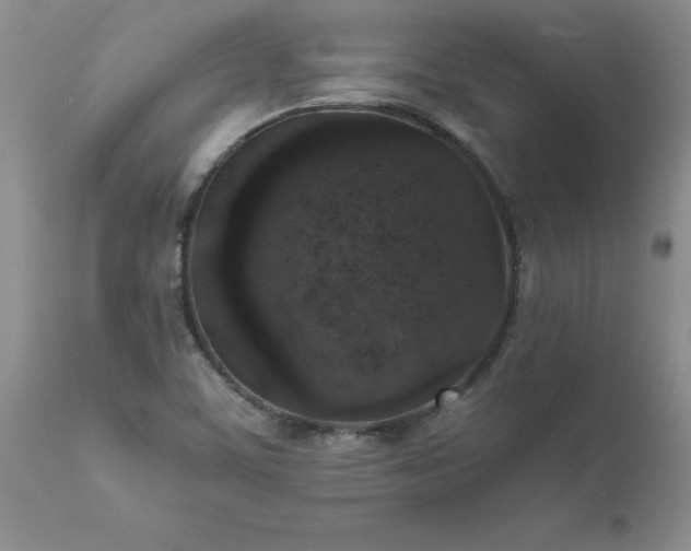 X0000111811459200907301221