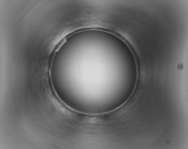 X0000111811460200907301221