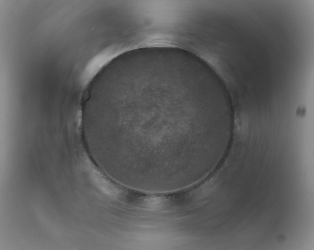 X0000111811461200907301221