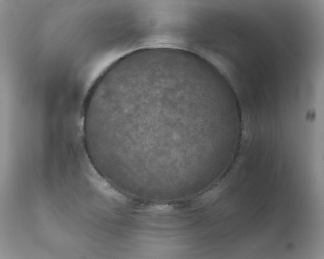 X0000111811462200907301221