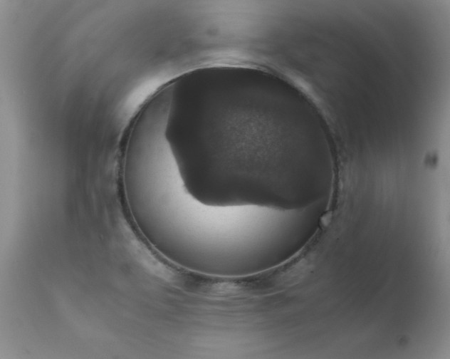 X0000111811463200907301221