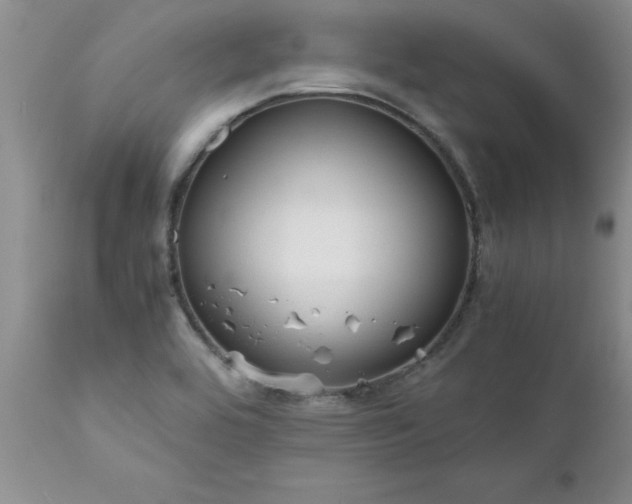 X0000111811464200907301221