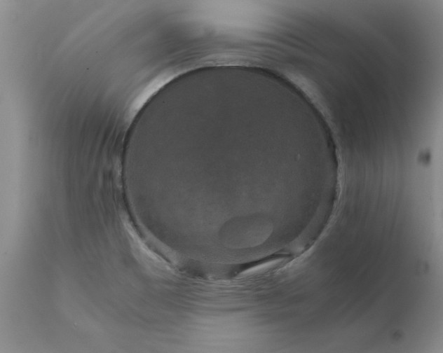 X0000111811465200907301221