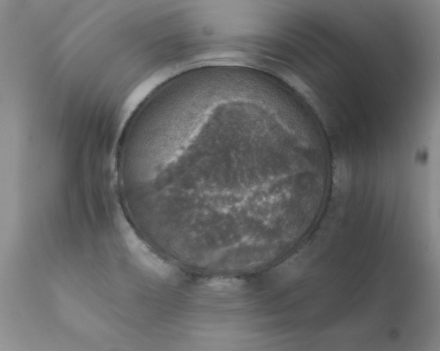 X0000111811466200907301221