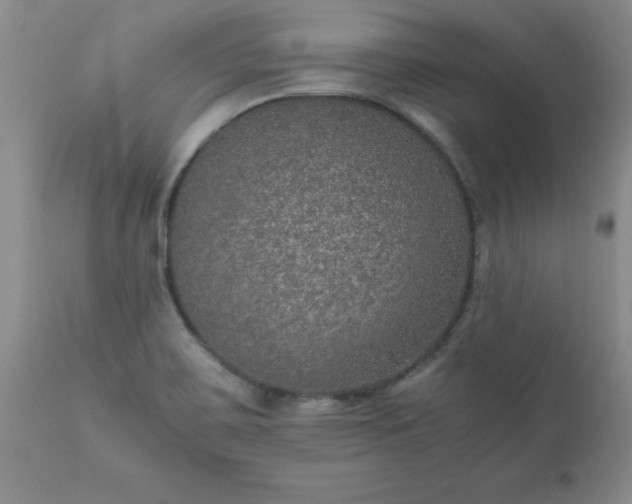 X0000111811467200907301221