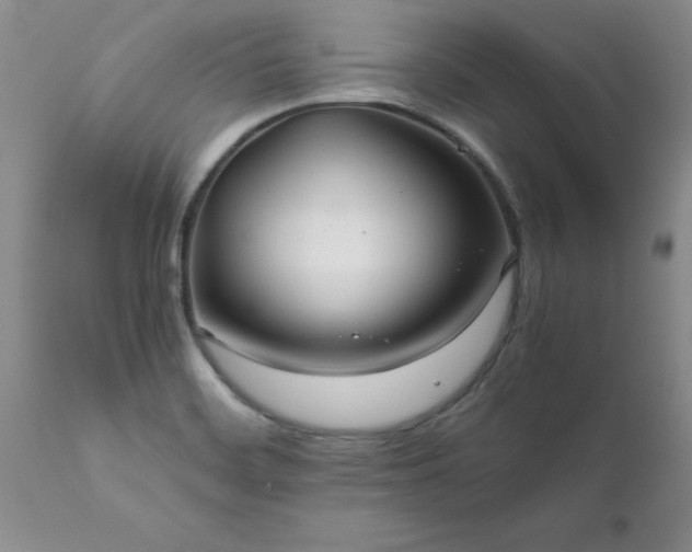 X0000111811468200907301221
