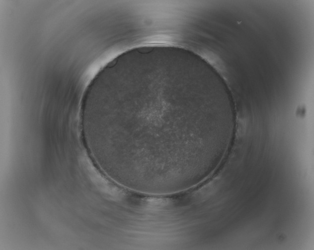 X0000111811469200907301221