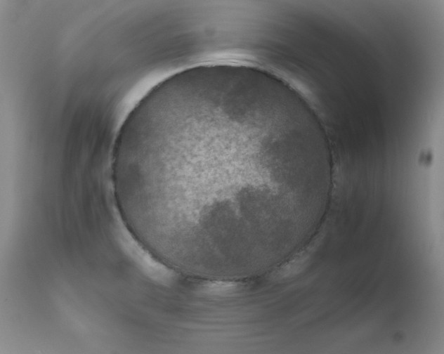 X0000111811470200907301221
