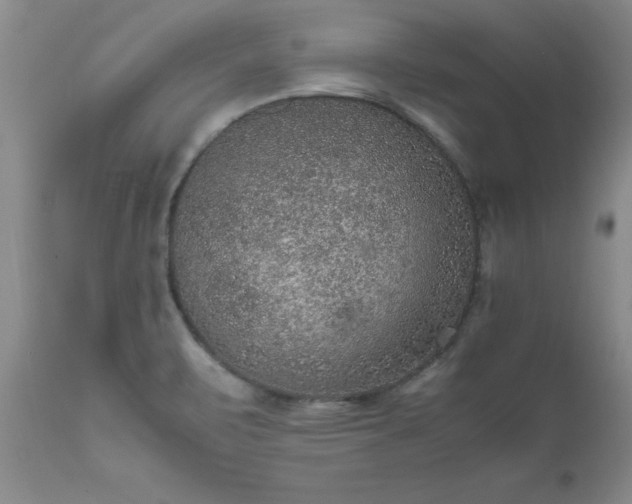 X0000111811471200907301221
