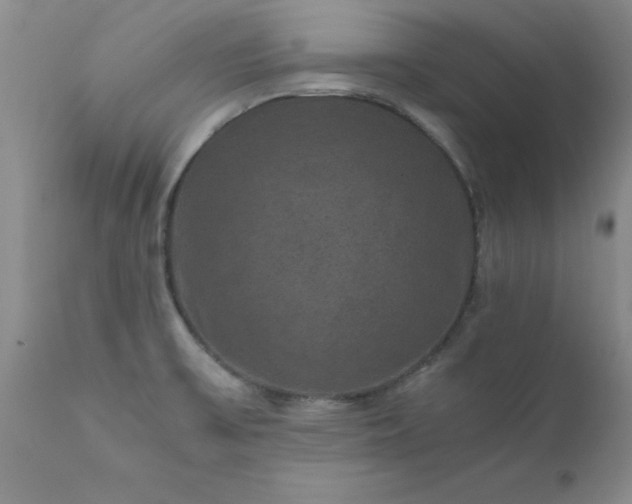 X0000111811475200907301221