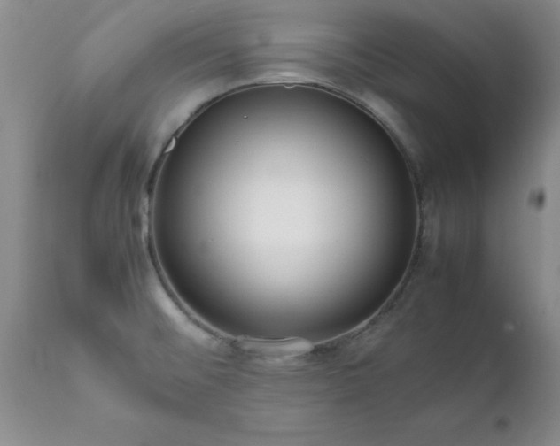X0000111811476200907301221