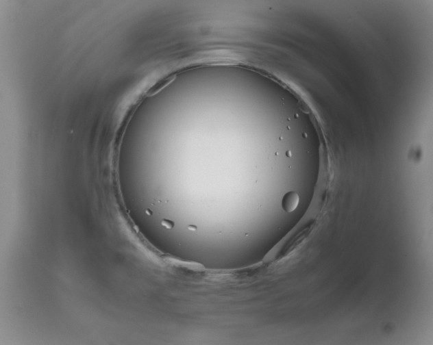 X0000111811477200907301221