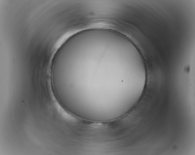 X0000111811478200907301221