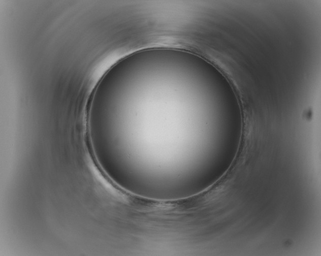X0000111811479200907301221