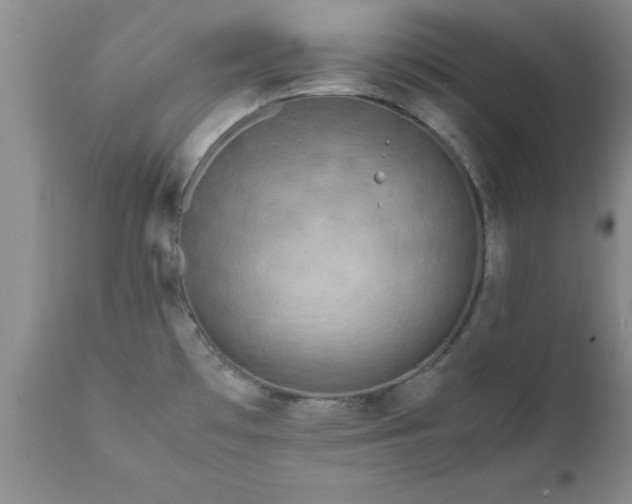 X0000111811481200907301221