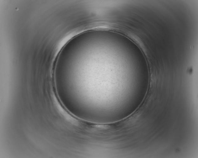 X0000111811483200907301221