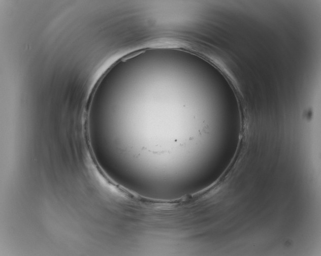 X0000111811484200907301221